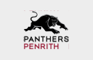 67d22f8c7ea3a4b777d8744a_penrith-panthers
